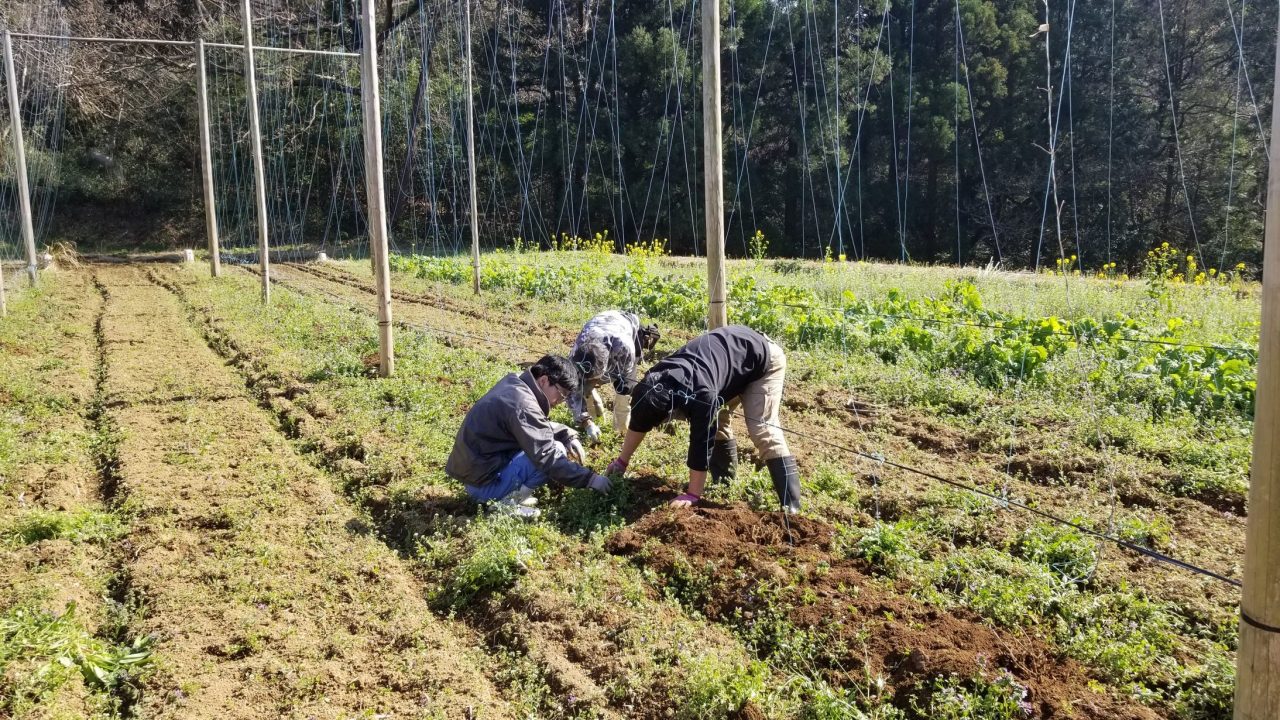 “BREW LOCAL” 九州の恵みを共に醸すための取り組み【宮崎ひでじビール】