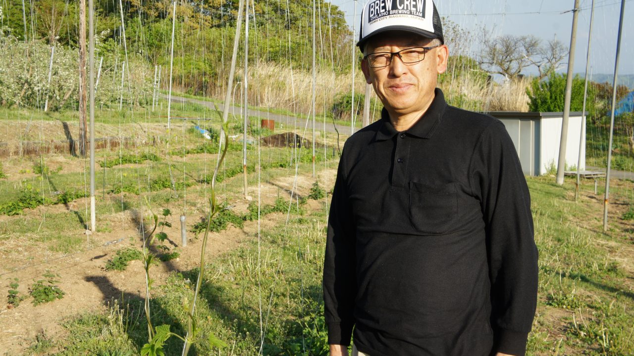 初代醸造長小林亮二さんが手塩にかけて育てるホップ【オラホビール圃場】
