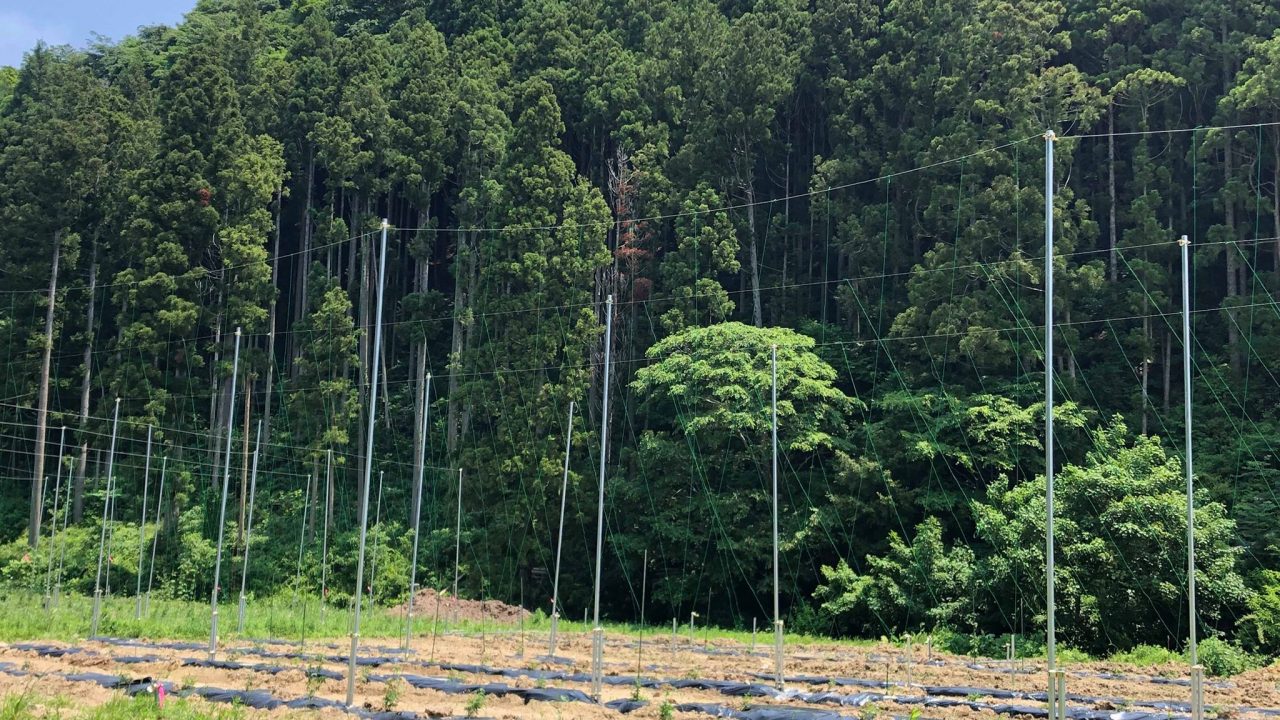 ~ホップそよ風通信~【宮城県・石巻市 6月】
