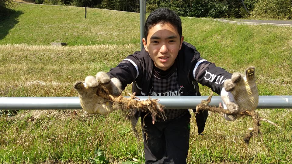 ホップ栽培が難しいといわれる島根県でホップが収穫できる秘訣