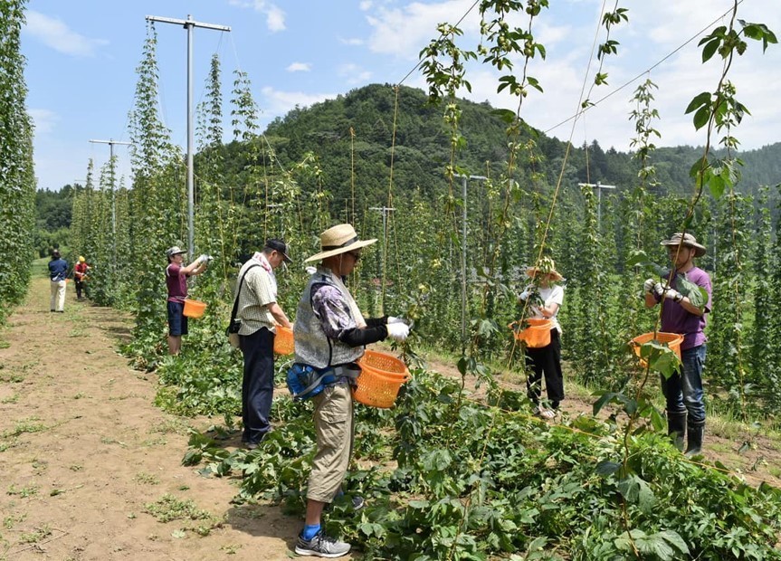 ホップ産業を中心とした循環型の社会へ前進する「ホップジャパン」