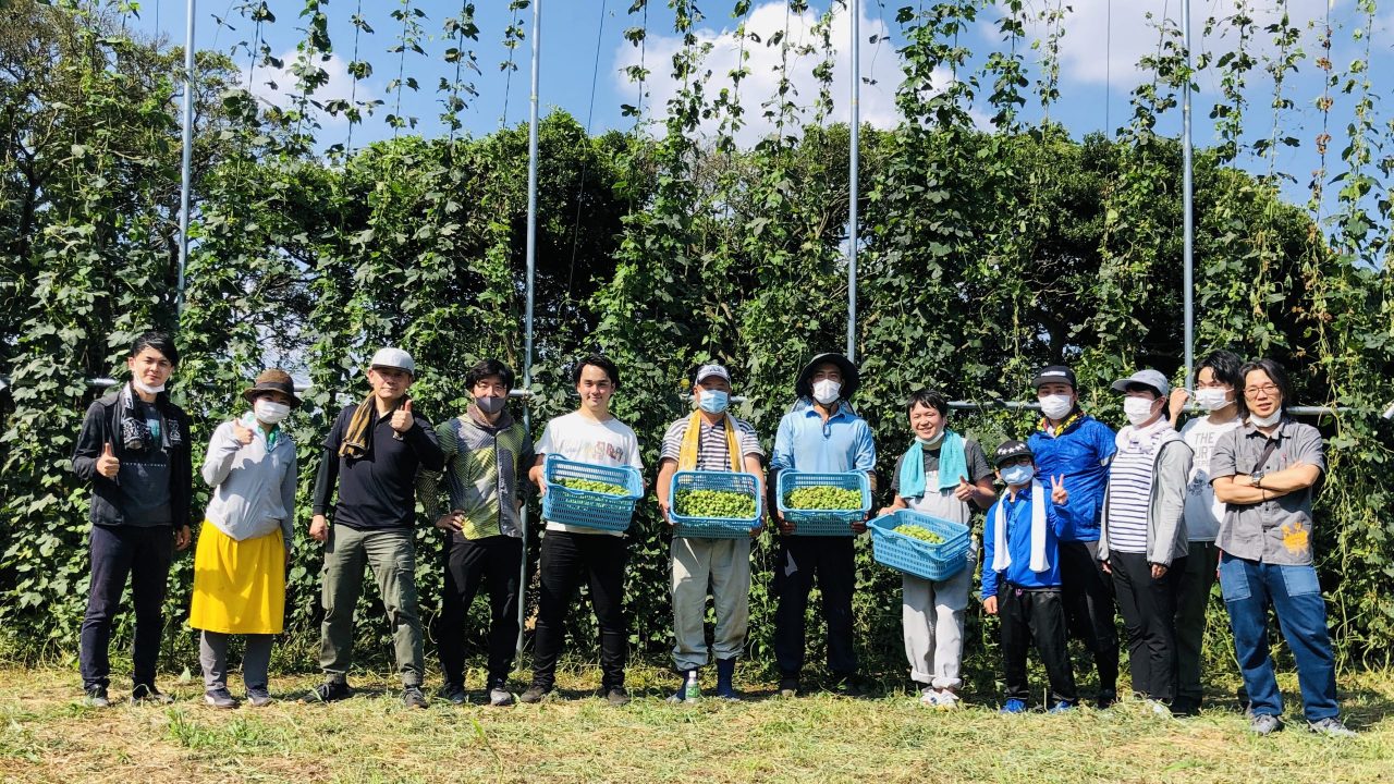 クラフトビールで横浜を盛り上げたい ―進化を続ける古川原農園と芹田果樹園のホップ栽培―