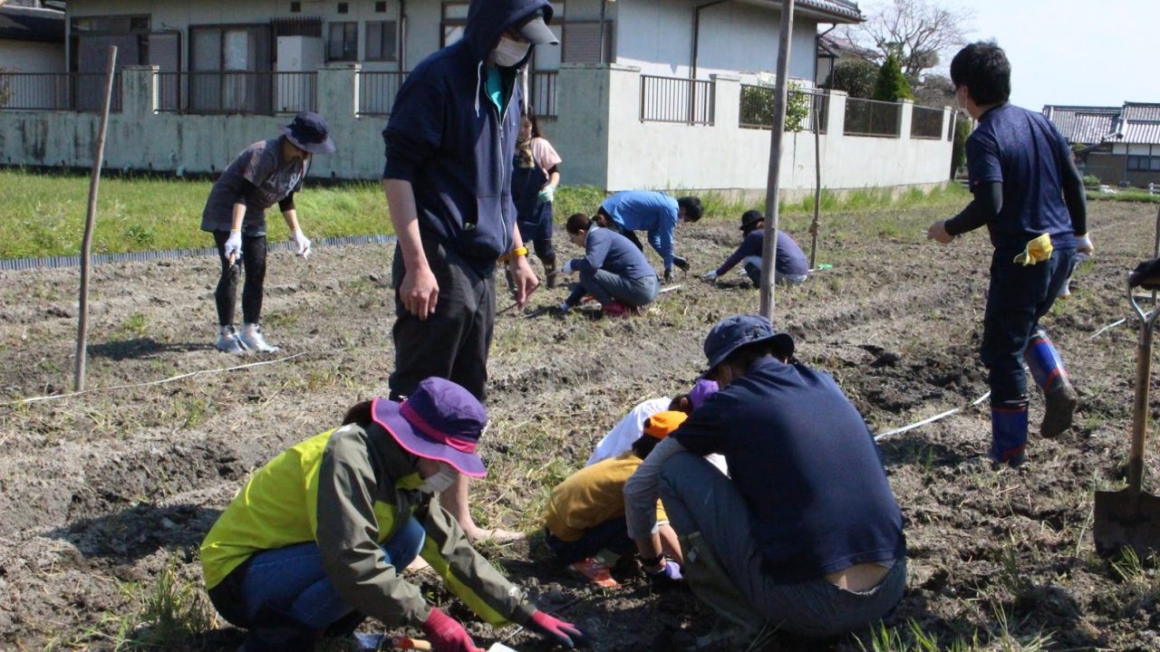 ホップでつなげる地域の輪「THANKS HOP」は、本格的に圃場でホップを栽培、中津にブルワリーをオープンさせます