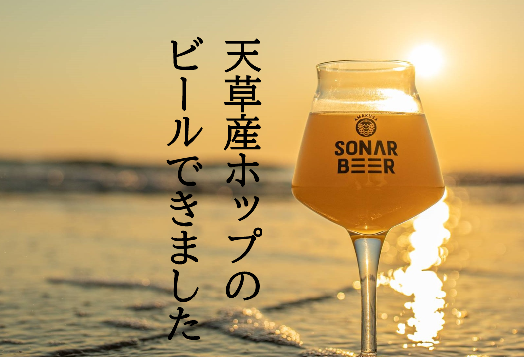 天草産ホップ100%のビールが完成!今年もホップからビールを造ります「AMAKUSA SONAR BEER」