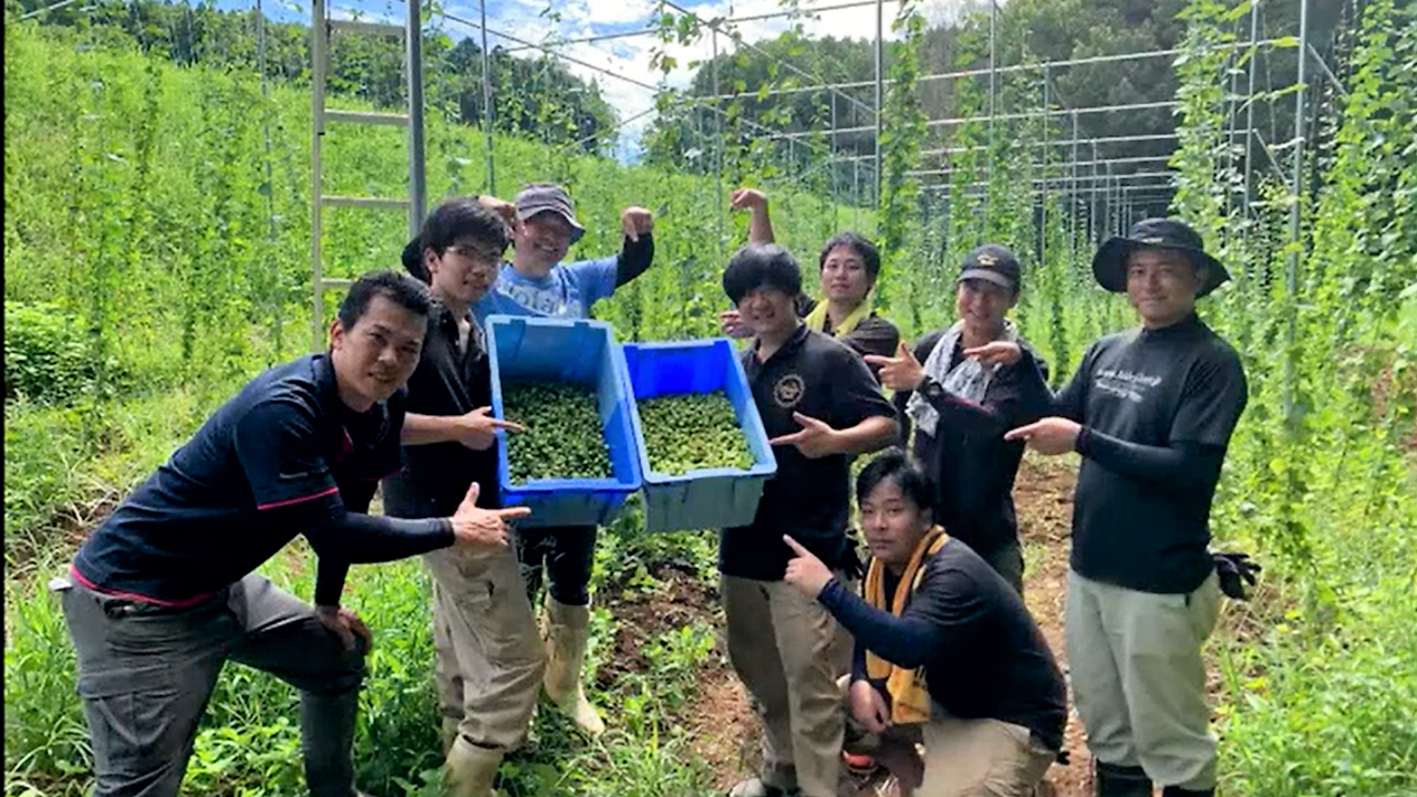 ライブで配信!ホップ収穫と超フレッシュホップビール造り「宮崎ひでじビール」