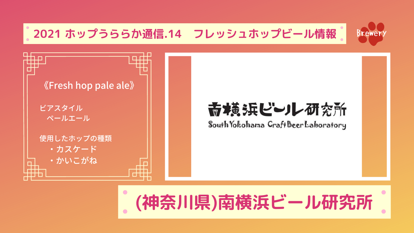 南横浜ビール研究所の21フレッシュホップビール お知らせ 日本産ホップ推進委員会