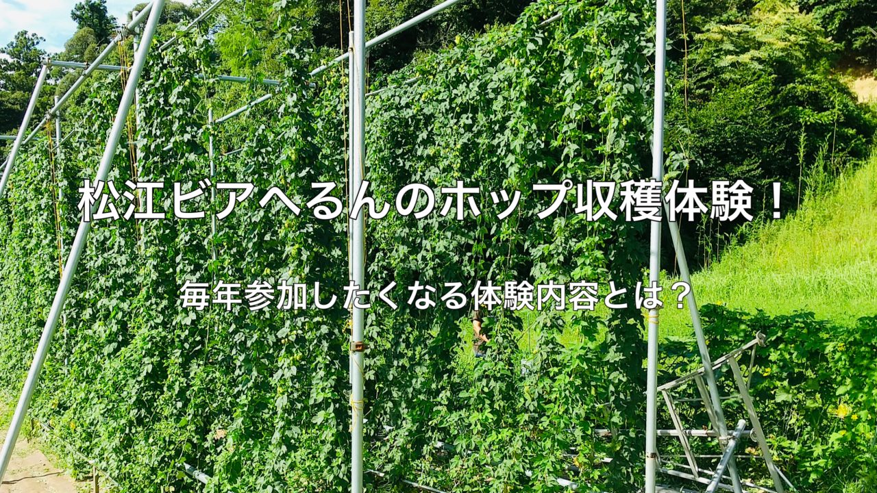 松江ビアへるんのホップ収穫体験！毎年参加したくなる体験内容とは？