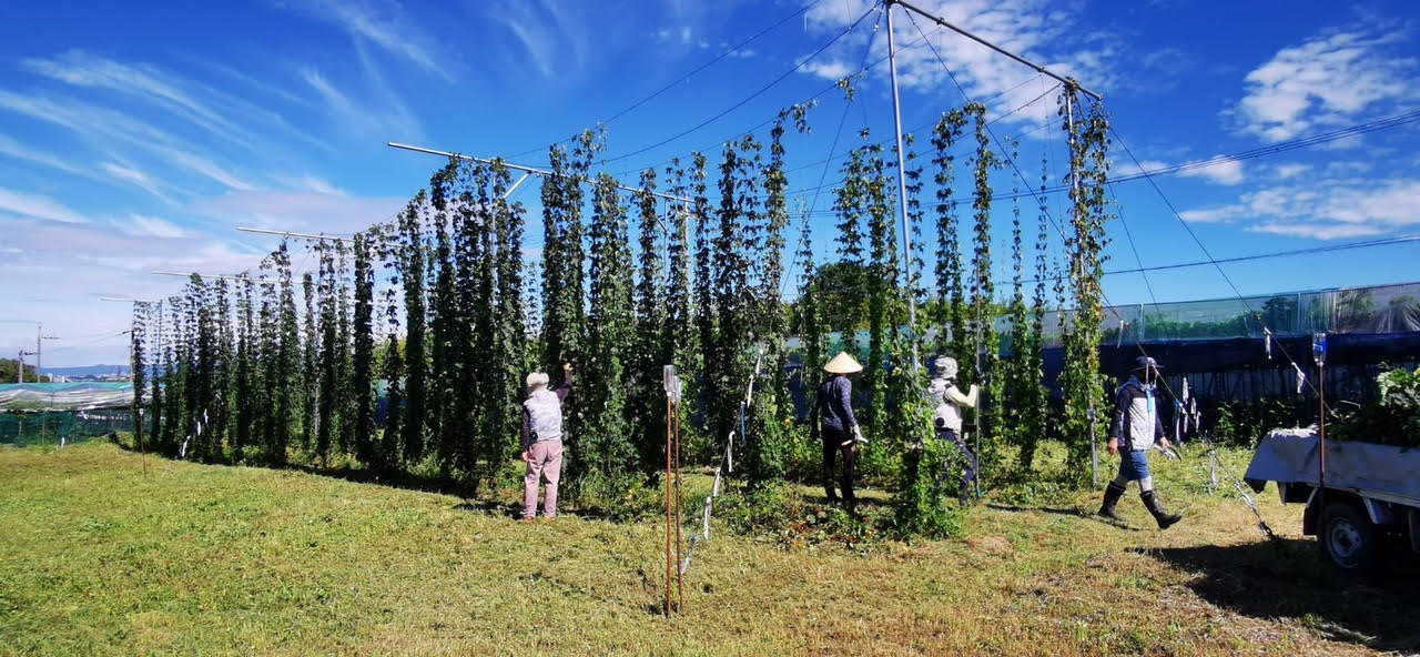 大阪府交野市で「人・自然・経済を循環させる」ビール造り