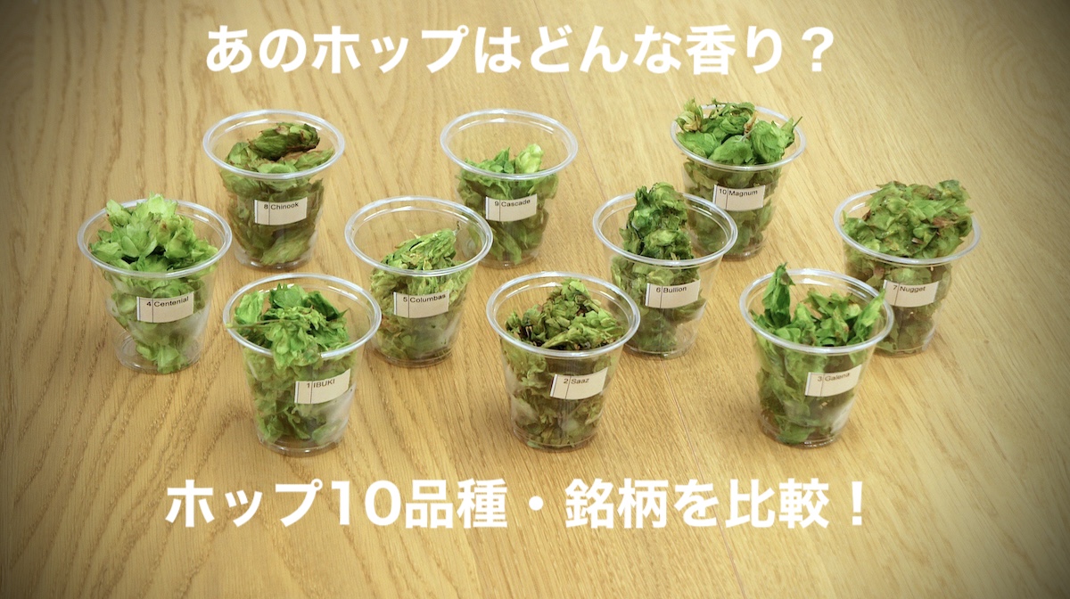 あのホップはどんな香り?ホップ10品種・銘柄を比較!