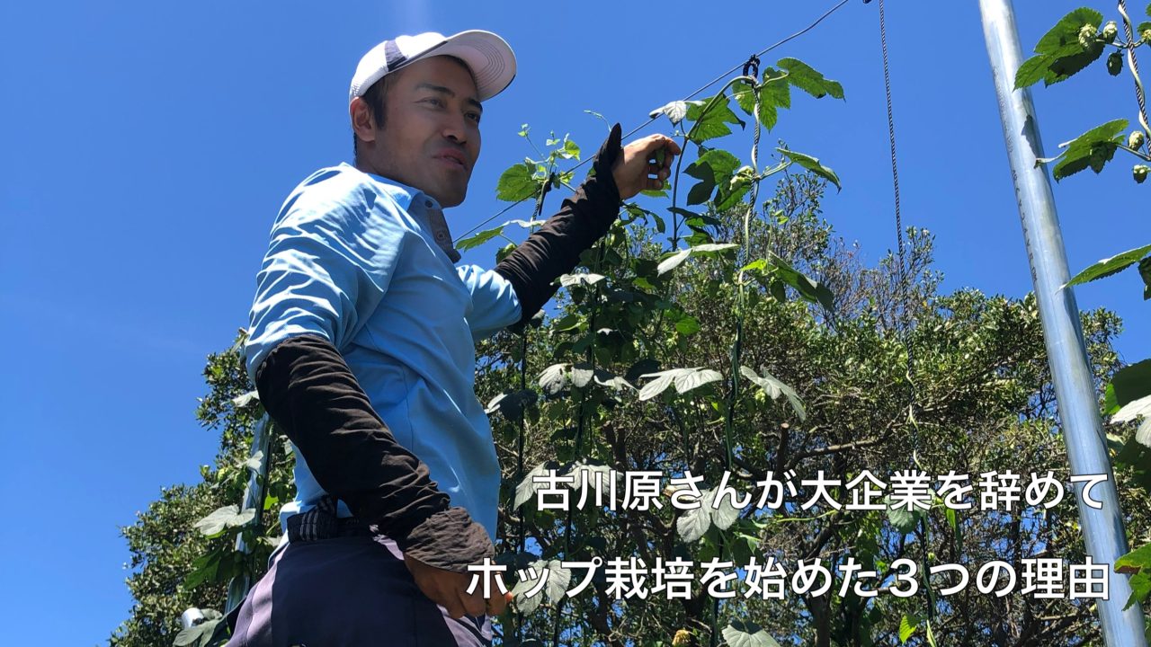 古川原さんが大企業を辞めてホップ栽培を始めた3つの理由