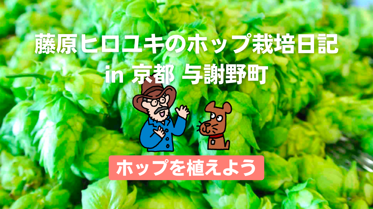 ホップを植えよう。〜藤原ヒロユキのホップ栽培日記〜