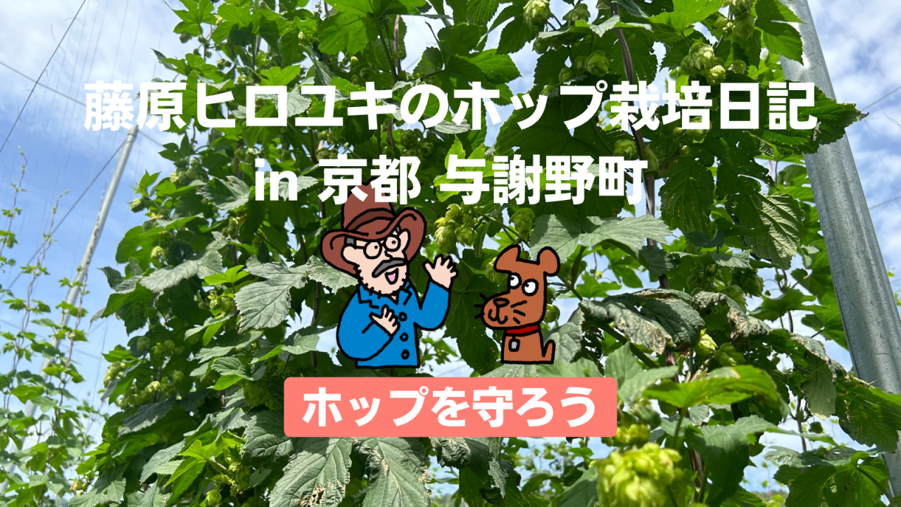 ホップを守ろう。〜藤原ヒロユキのホップ栽培日記〜