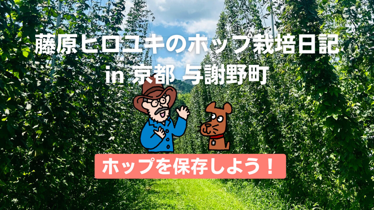 ホップを保存しよう!〜藤原ヒロユキのホップ栽培日記〜