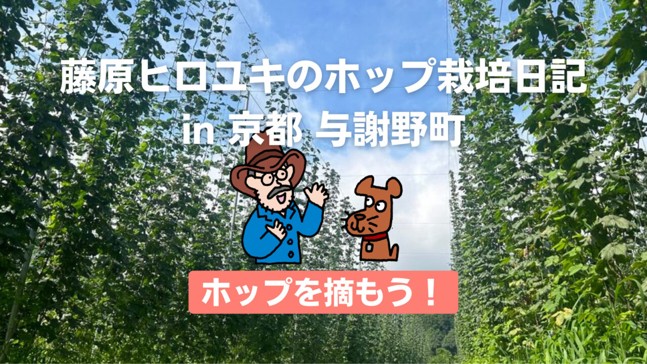 ホップを摘もう!〜藤原ヒロユキのホップ栽培日記〜