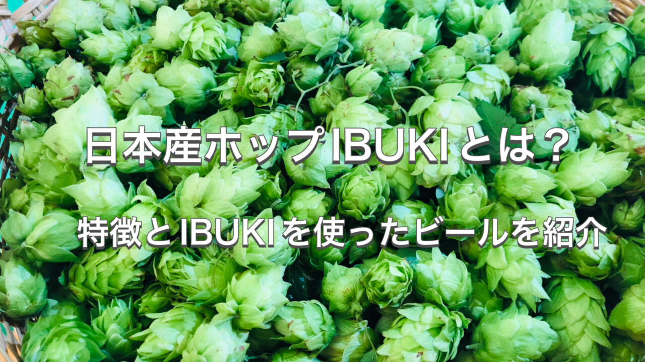 日本産ホップIBUKIとは？特徴とIBUKIを使ったビールを紹介