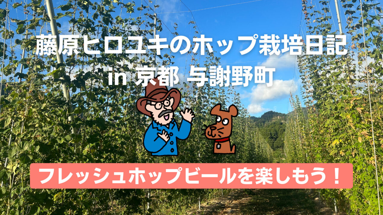 フレッシュホップビールを楽しもう〜藤原ヒロユキのホップ栽培日記〜