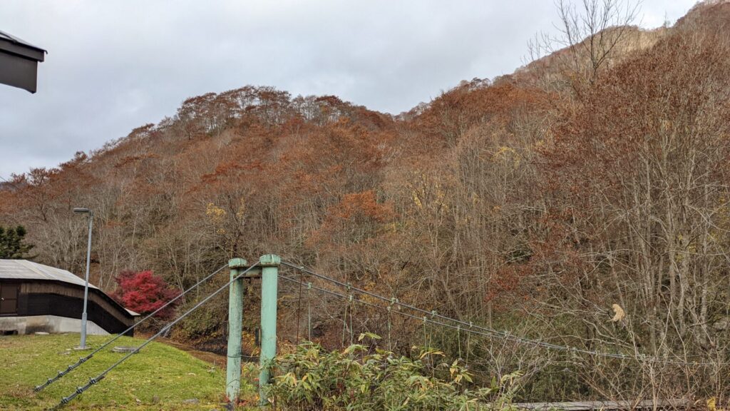 秋の山の様子。吊り橋がある。