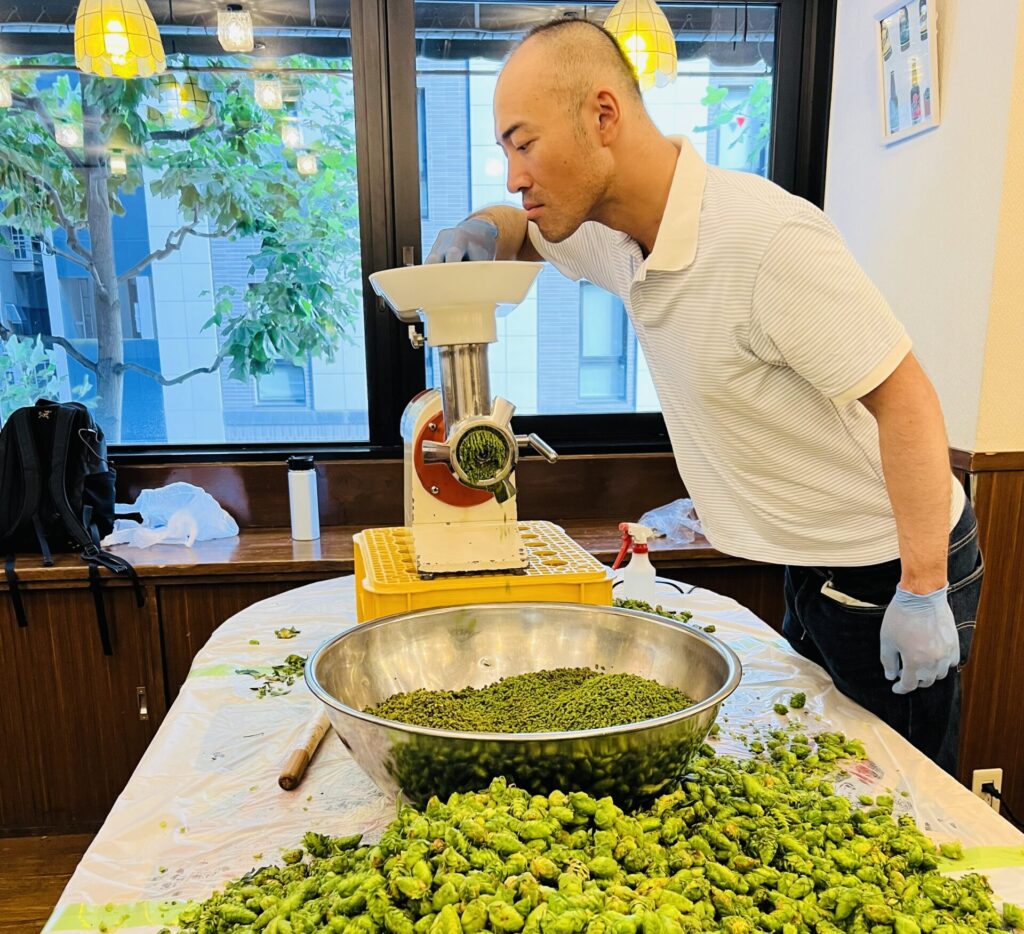 収穫後にホップの実を細かくほぐす作業