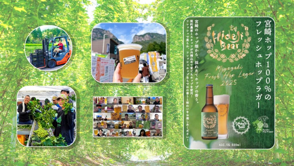 【宮崎ひでじビール】最多283名のホップオーナー＆収穫量260％達成！過去最高の“実り”を込めた100％九州産「宮崎フレッシュホップラガー」