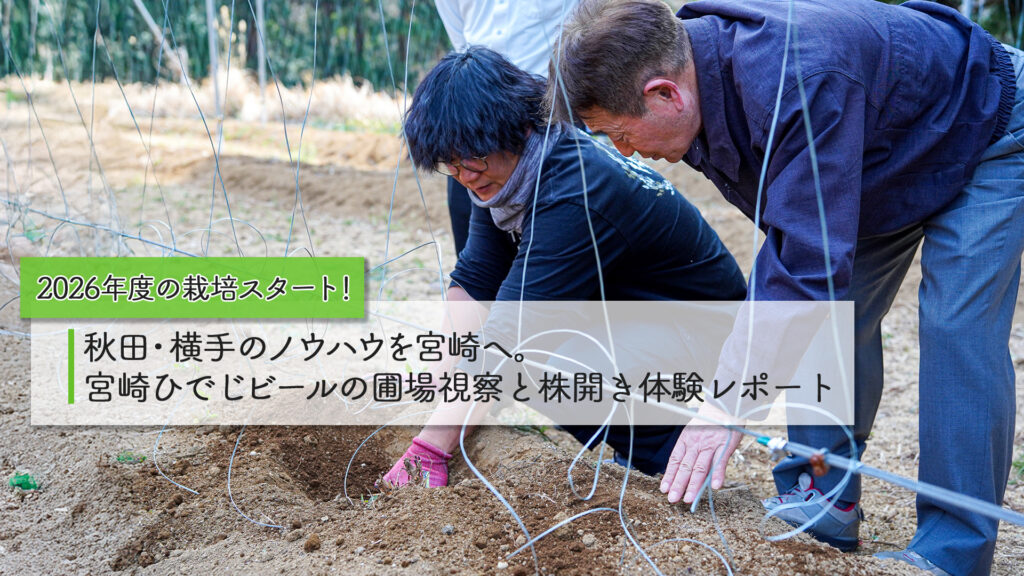 2026年度の栽培スタート！秋田・横手のノウハウを宮崎へ。宮崎ひでじビールの圃場視察と株開き体験レポート