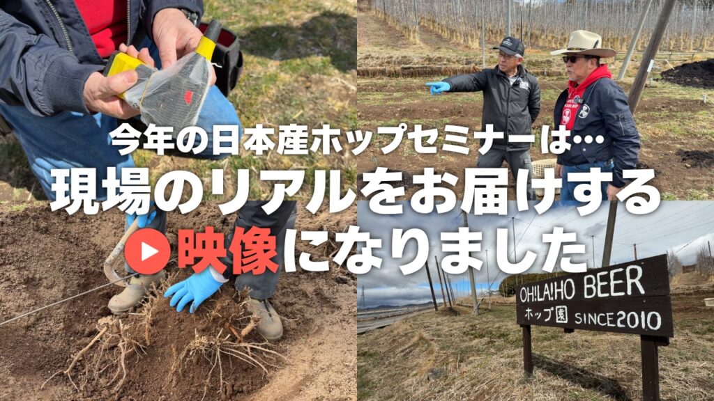 動画で学ぶ「日本産ホップビールができるまで」【第1回：ホップ栽培(株ごしらえ)編】