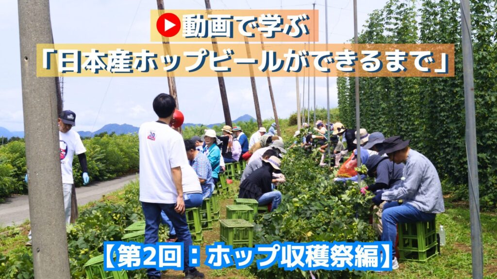 動画で学ぶ「日本産ホップビールができるまで」【第2回：ホップ収穫祭編】